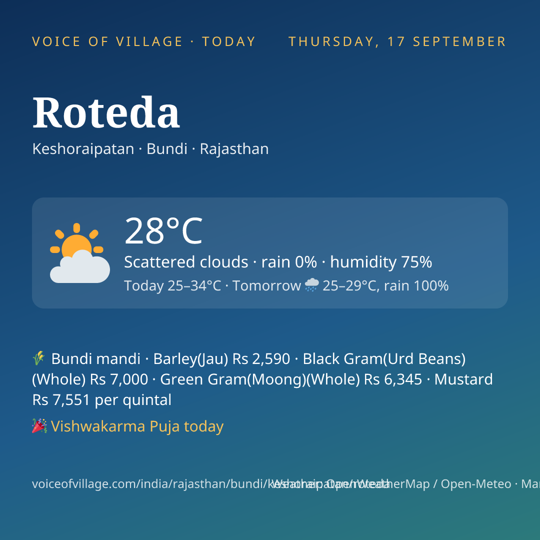 Roteda today