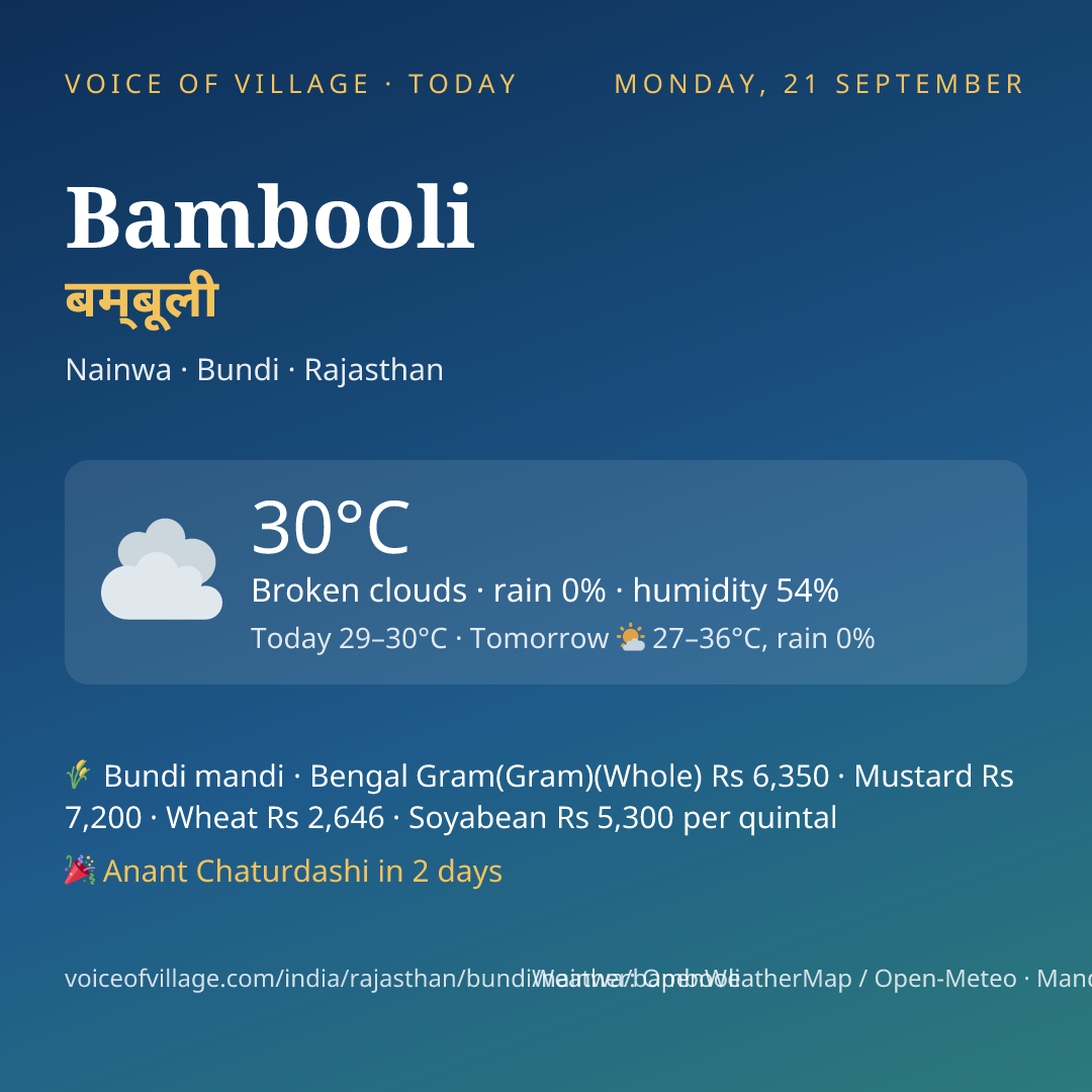 Bambooli today