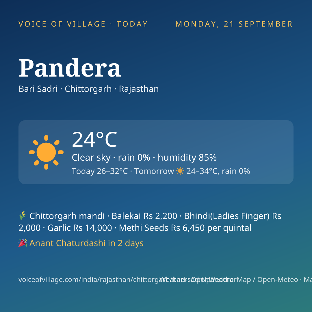 Pandera today
