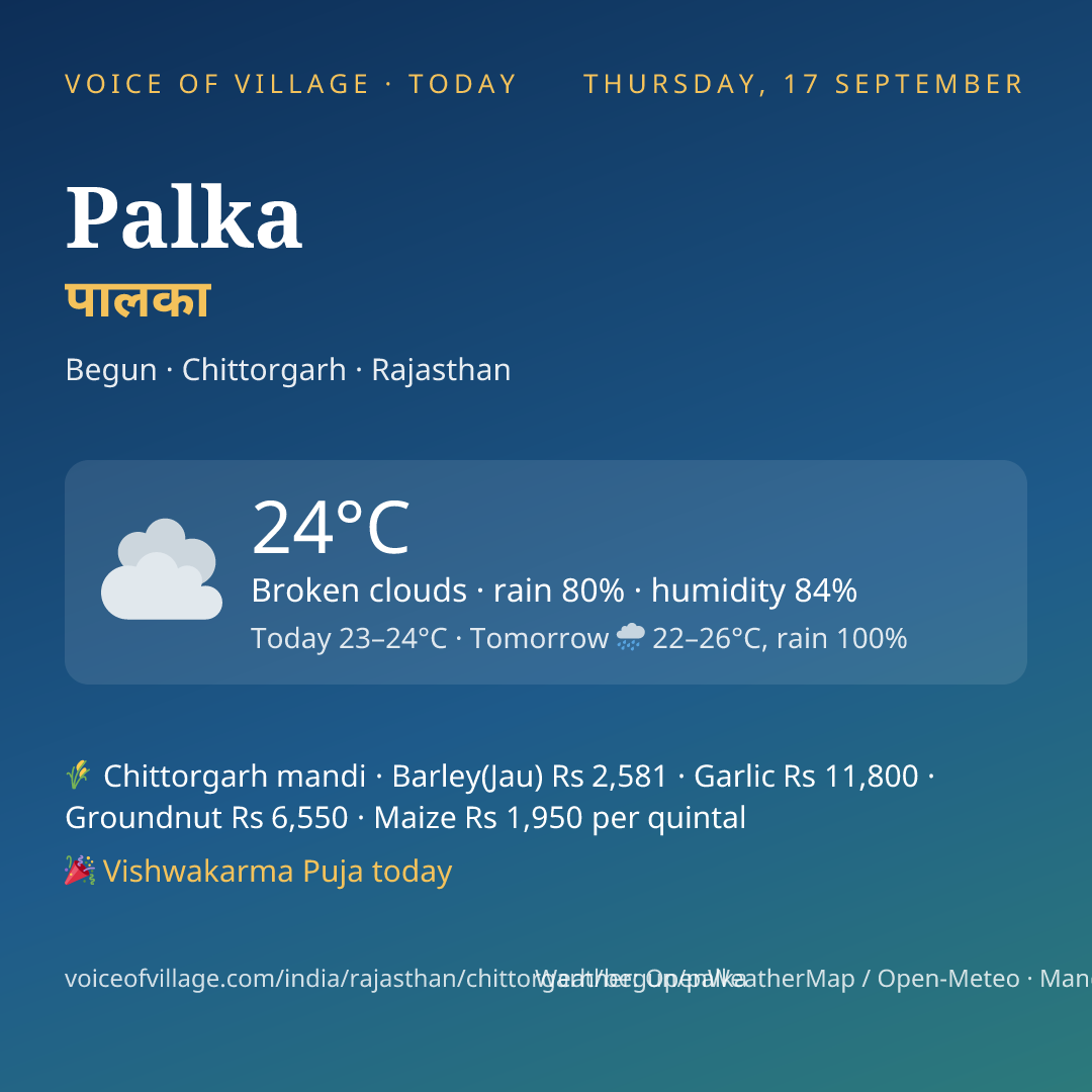 Palka today