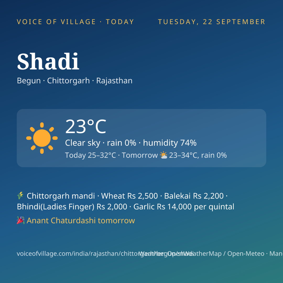 Shadi today