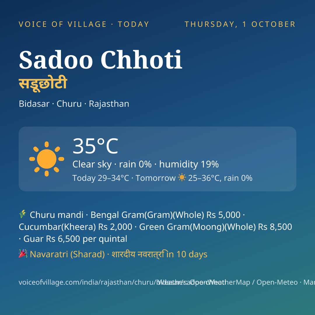 Sadoo Chhoti today