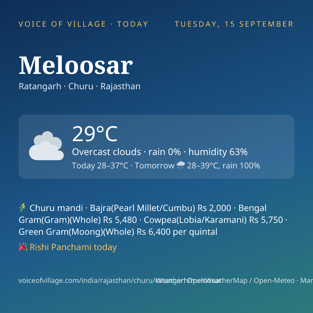 Meloosar today
