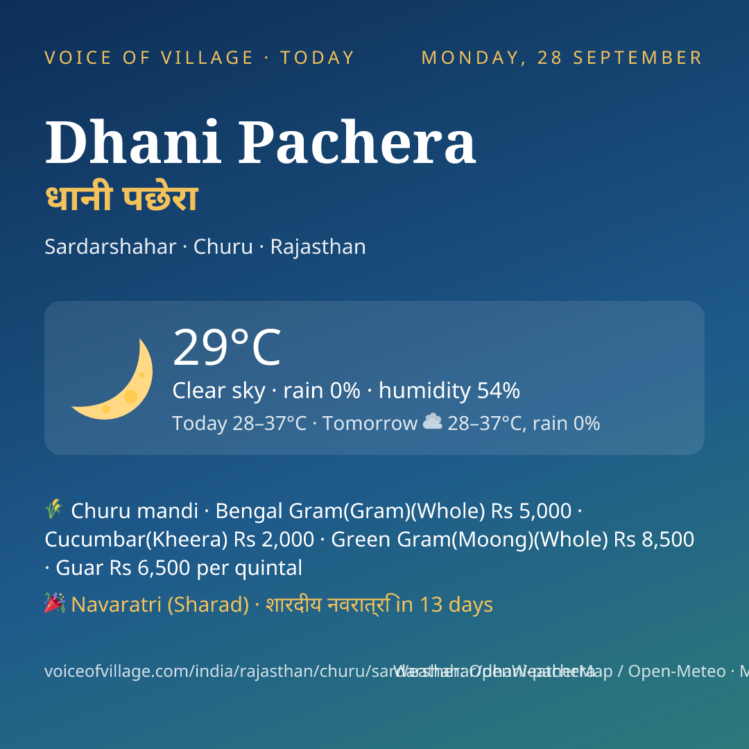 Dhani Pachera today
