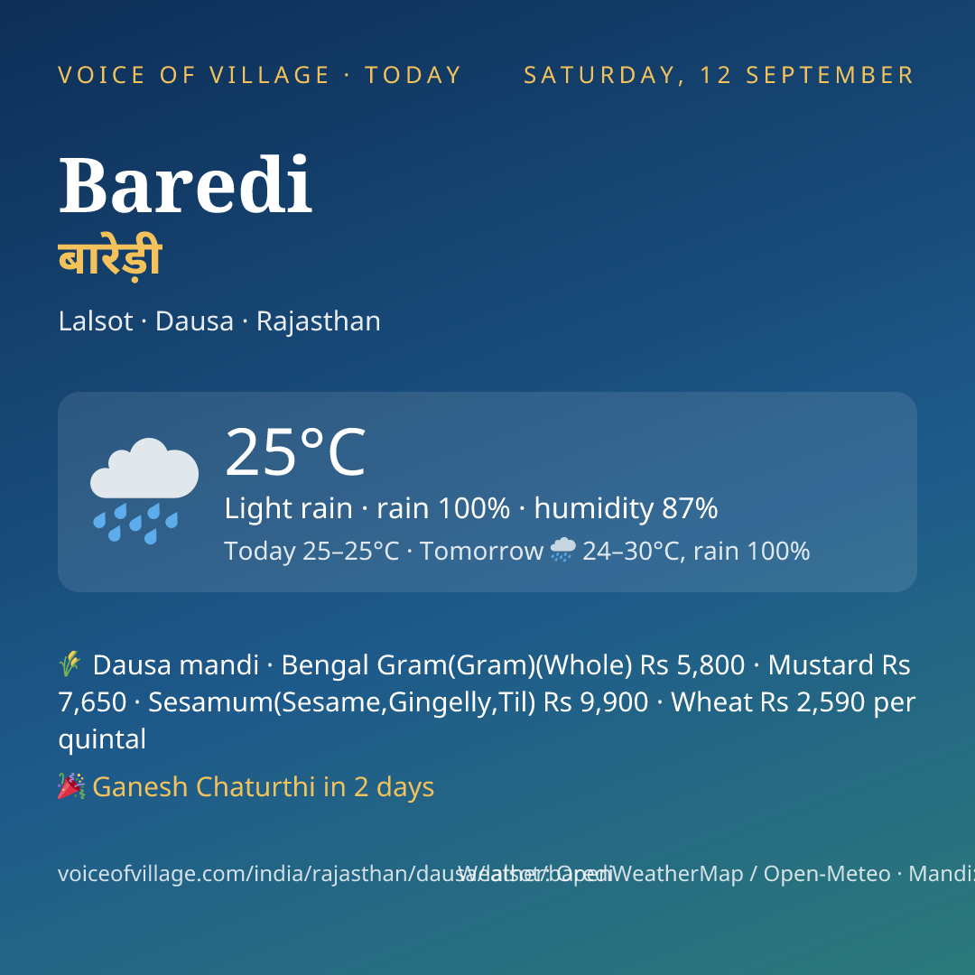 Baredi today