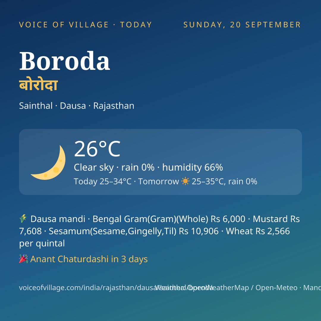 Boroda today