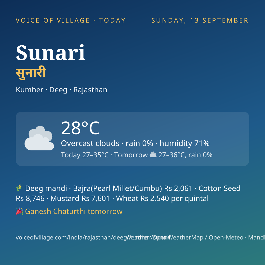 Sunari today