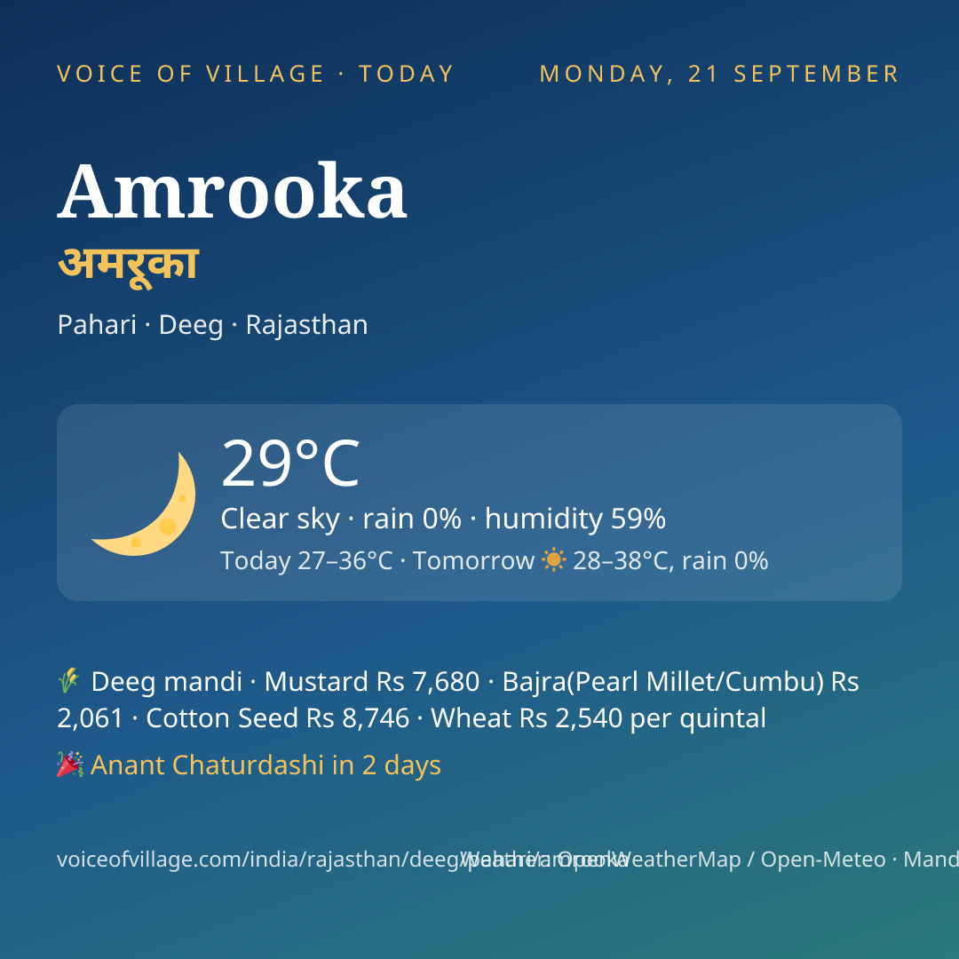 Amrooka today