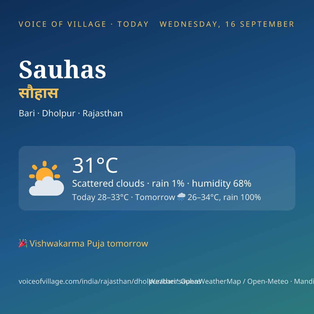 Sauhas today