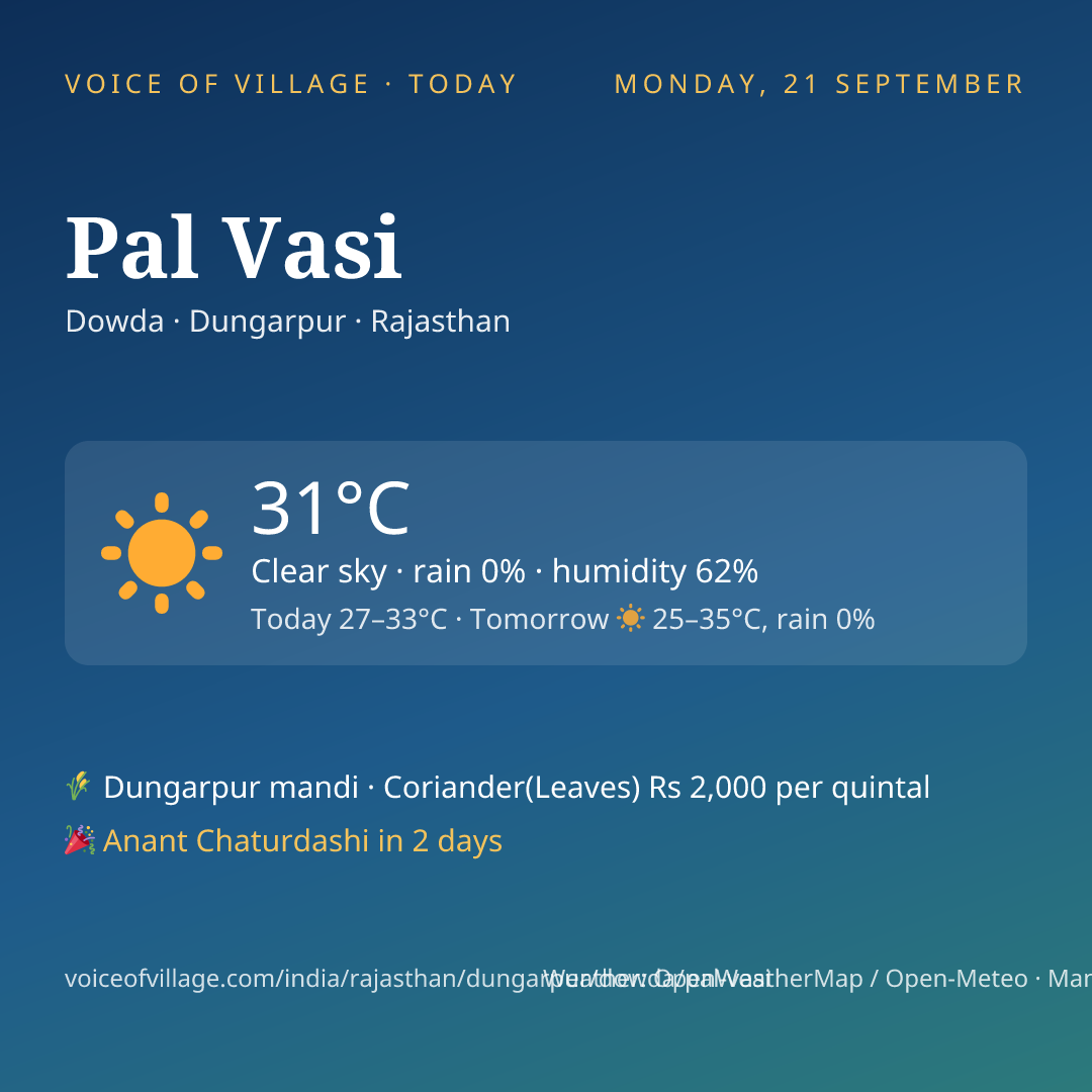 Pal Vasi today