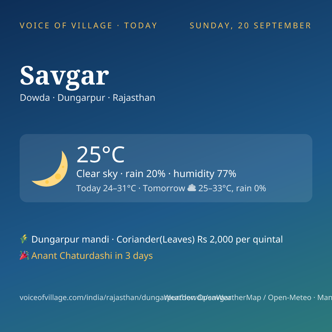 Savgar today