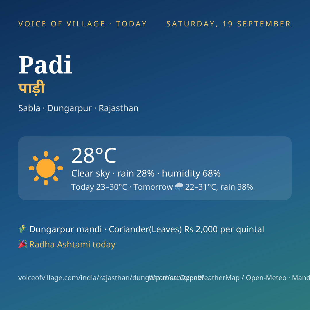 Padi today