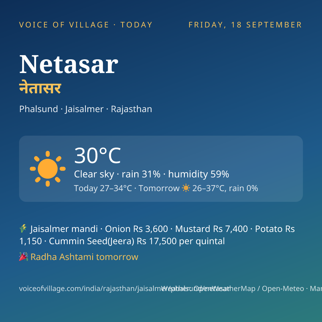 Netasar today