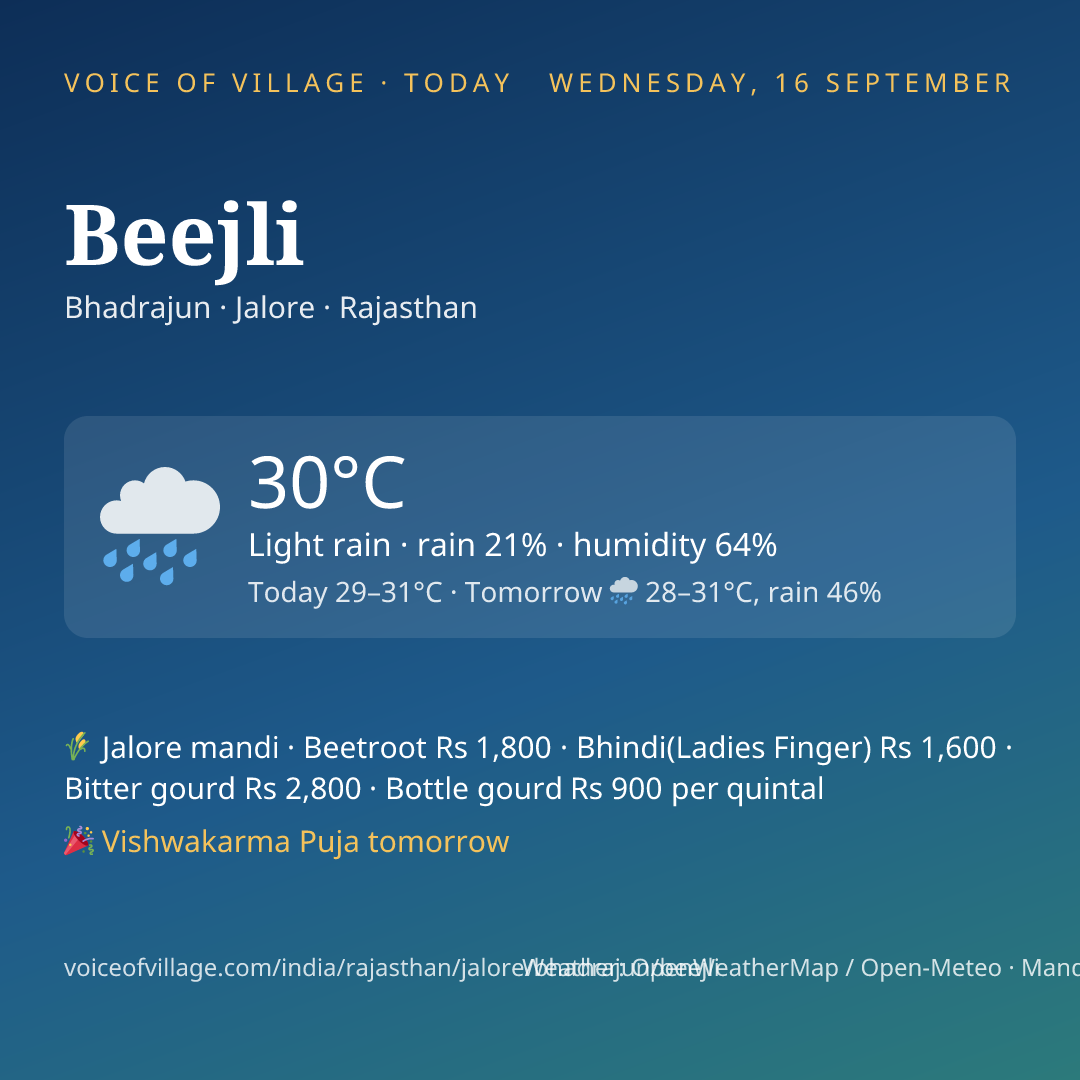 Beejli today