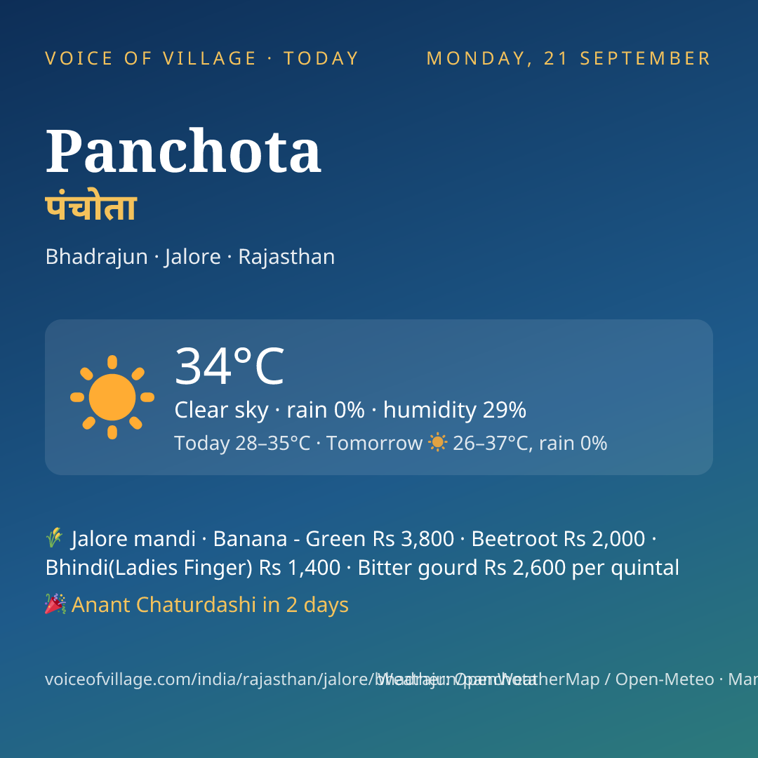 Panchota today