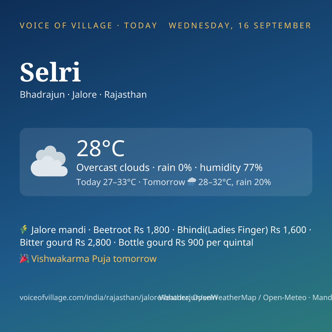 Selri today