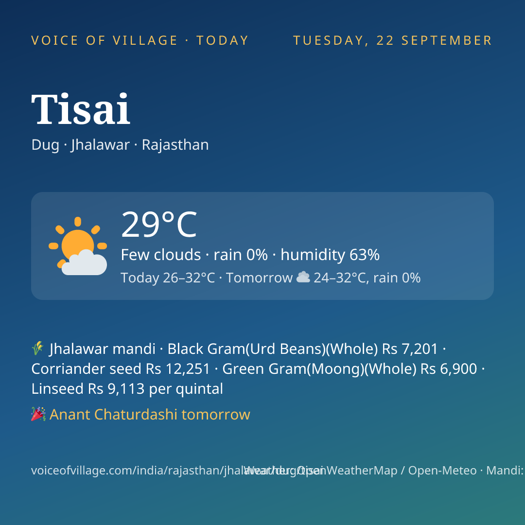 Tisai today