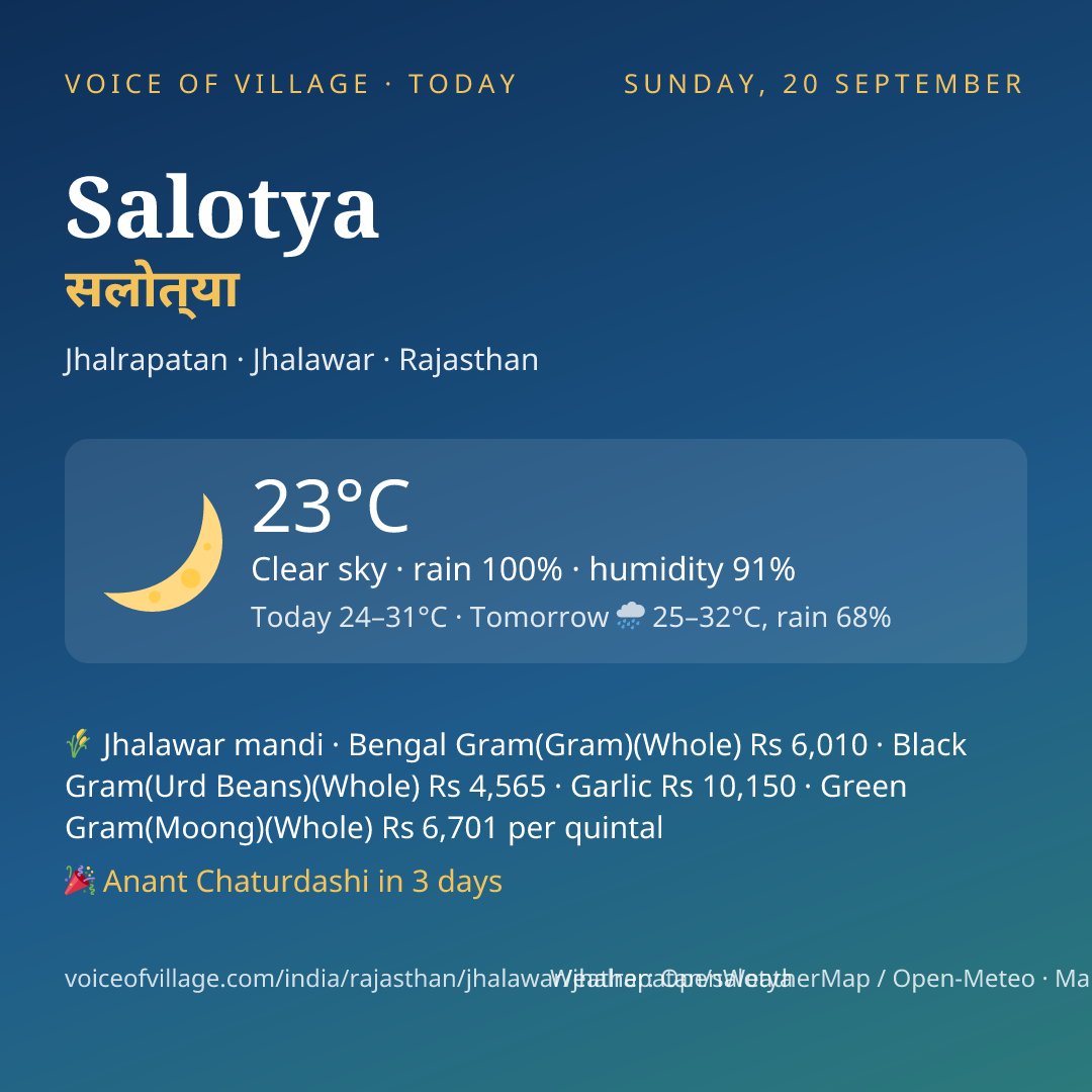 Salotya today