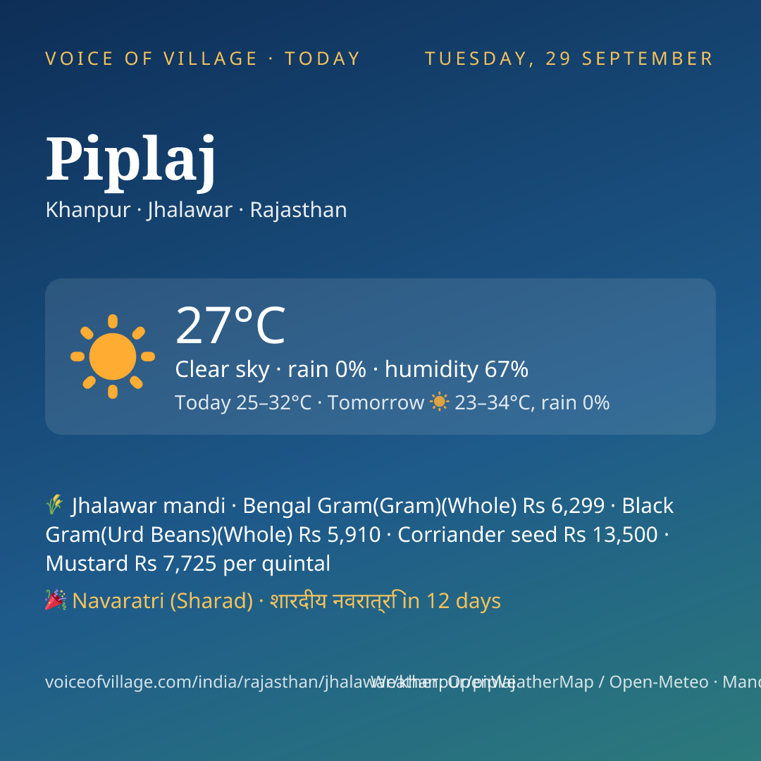 Piplaj today