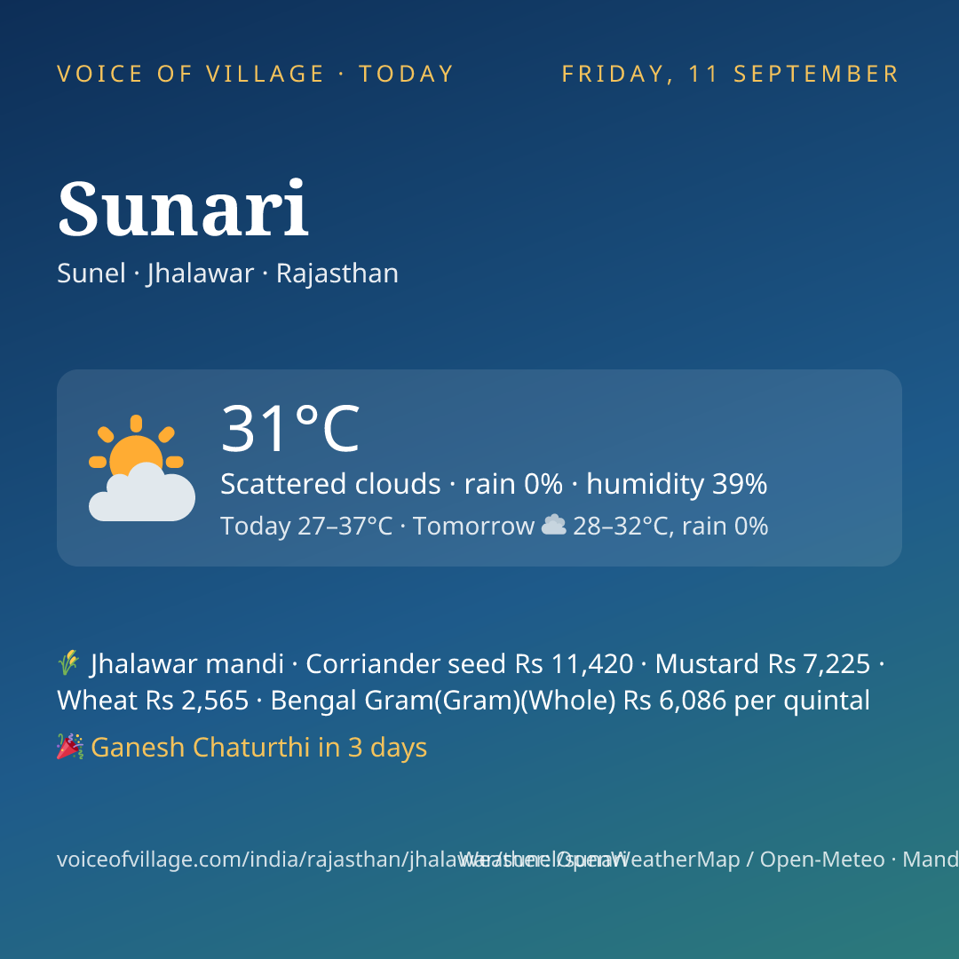 Sunari today