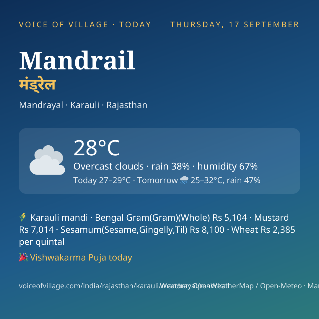 Mandrail today