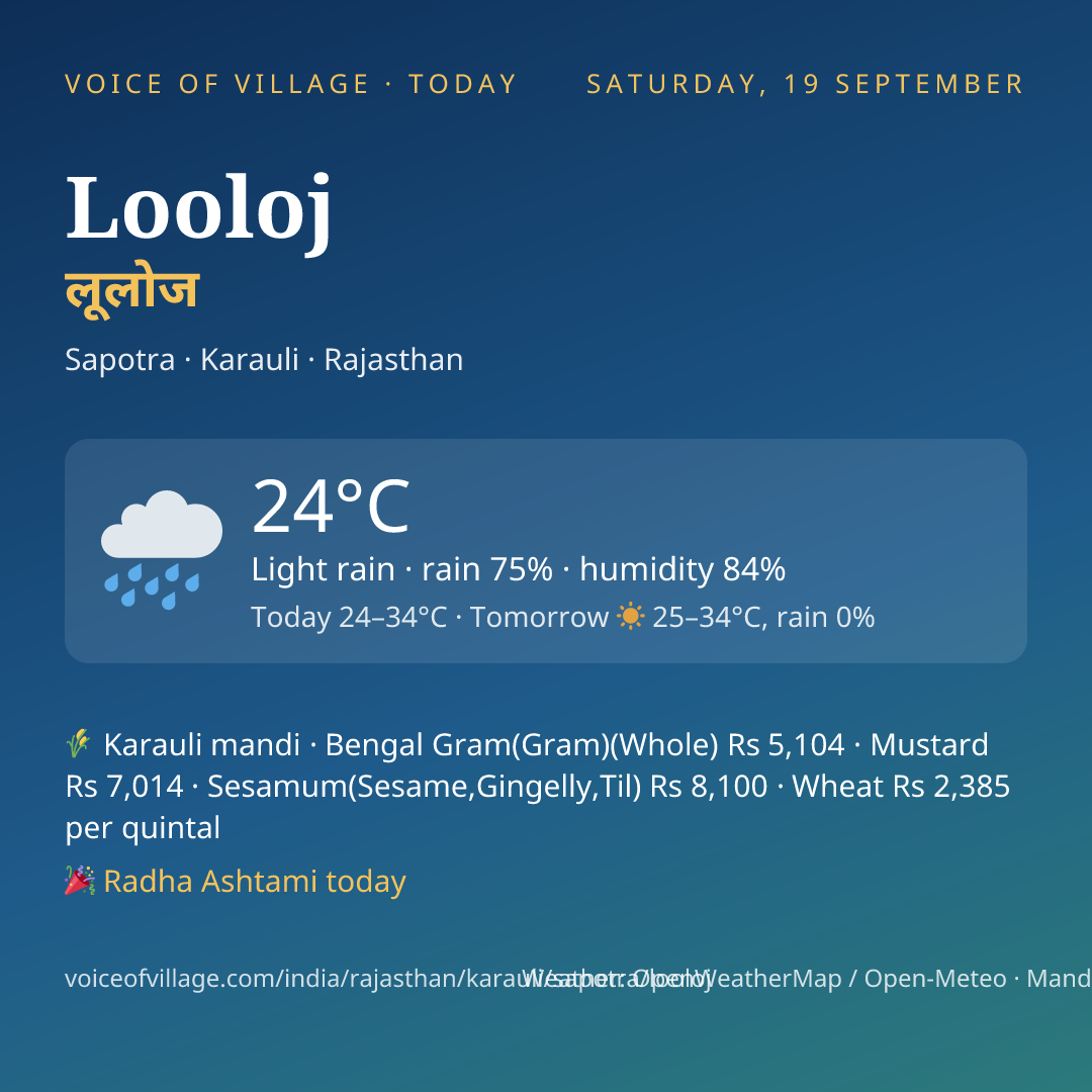 Looloj today