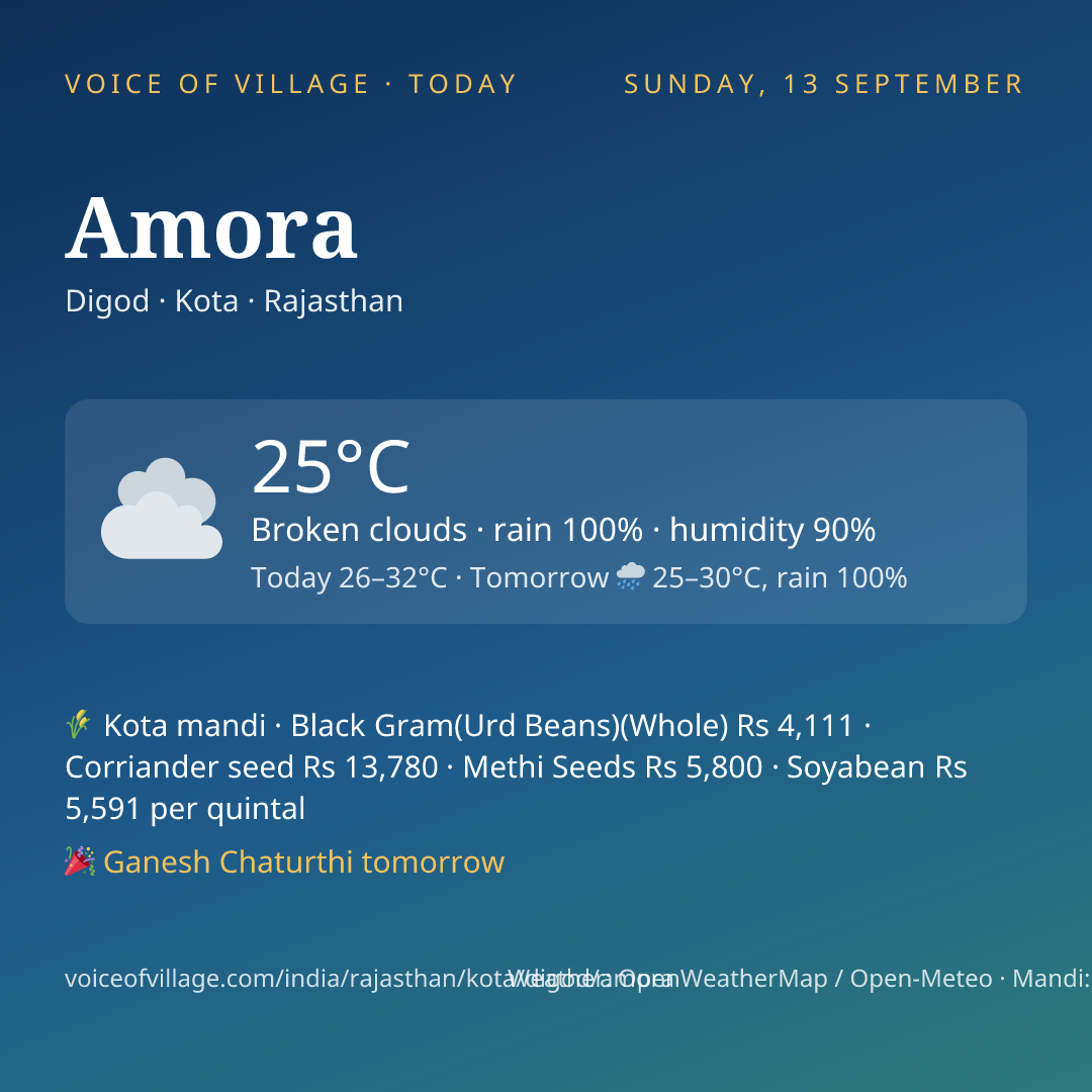 Amora today