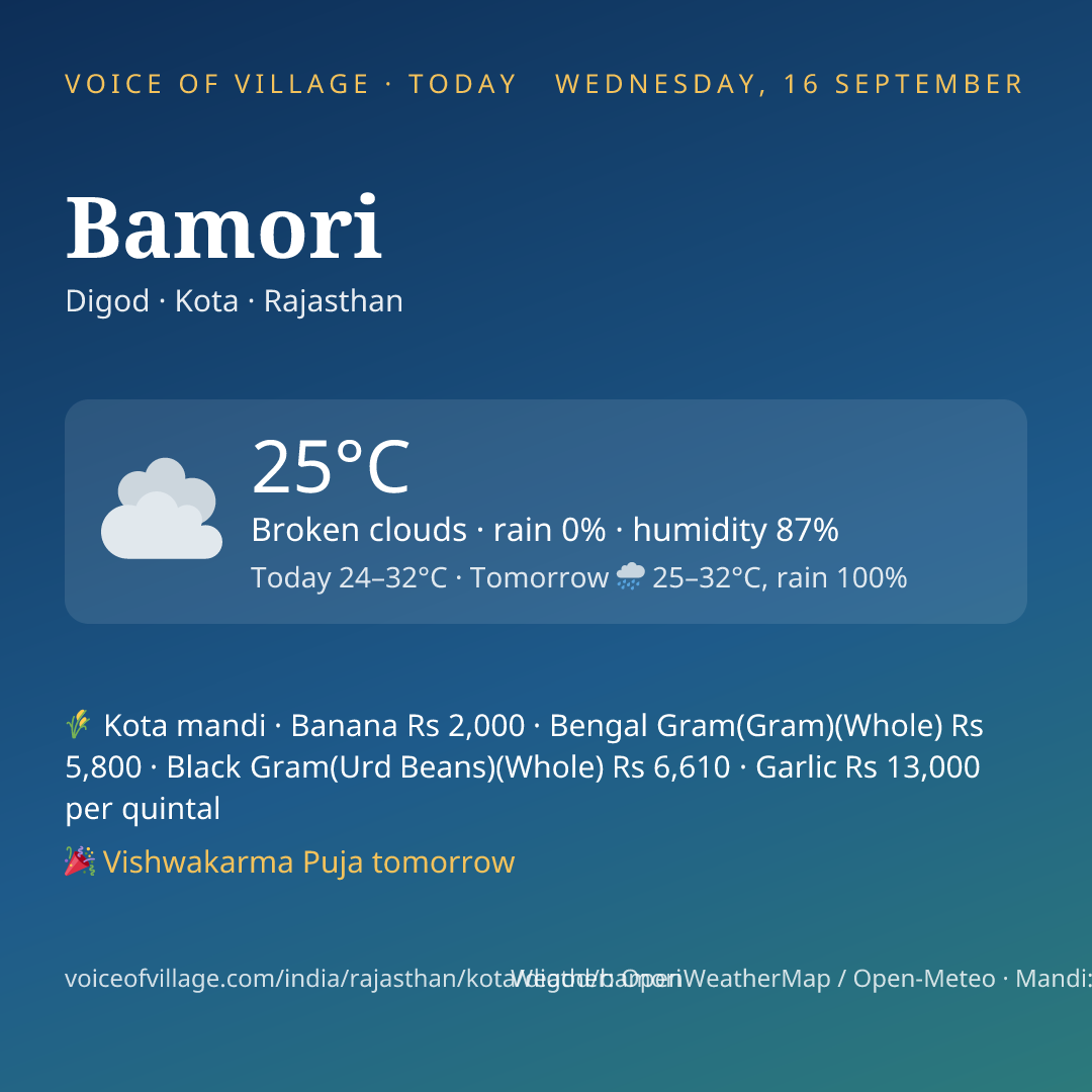 Bamori today