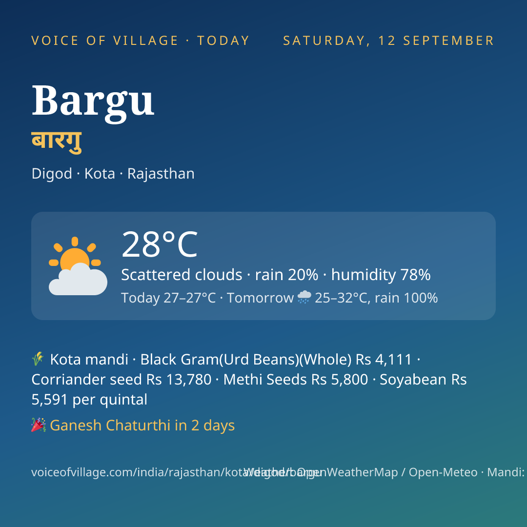 Bargu today