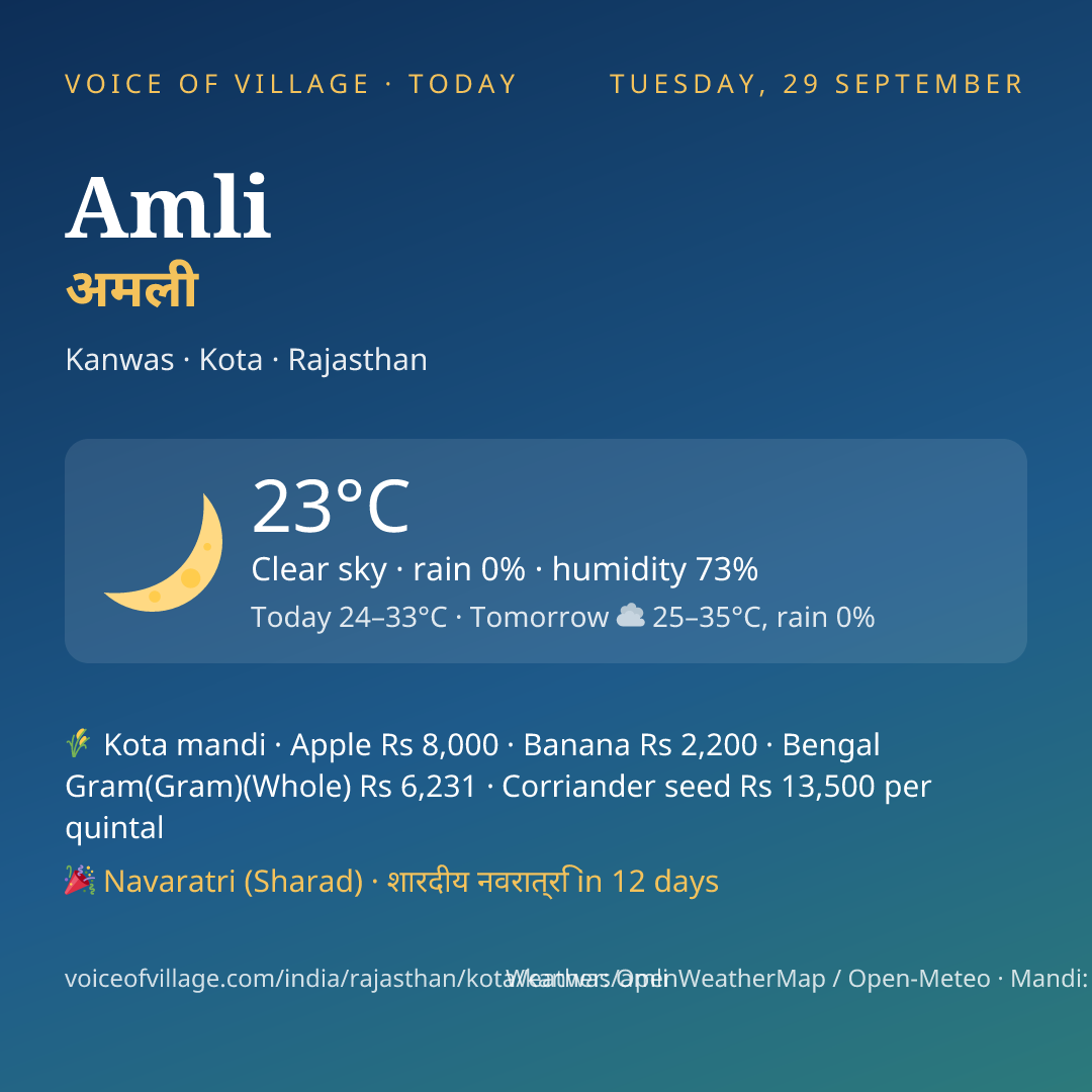 Amli today