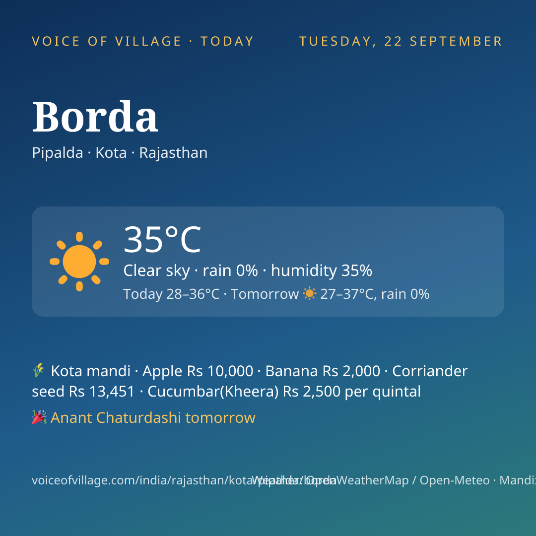 Borda today