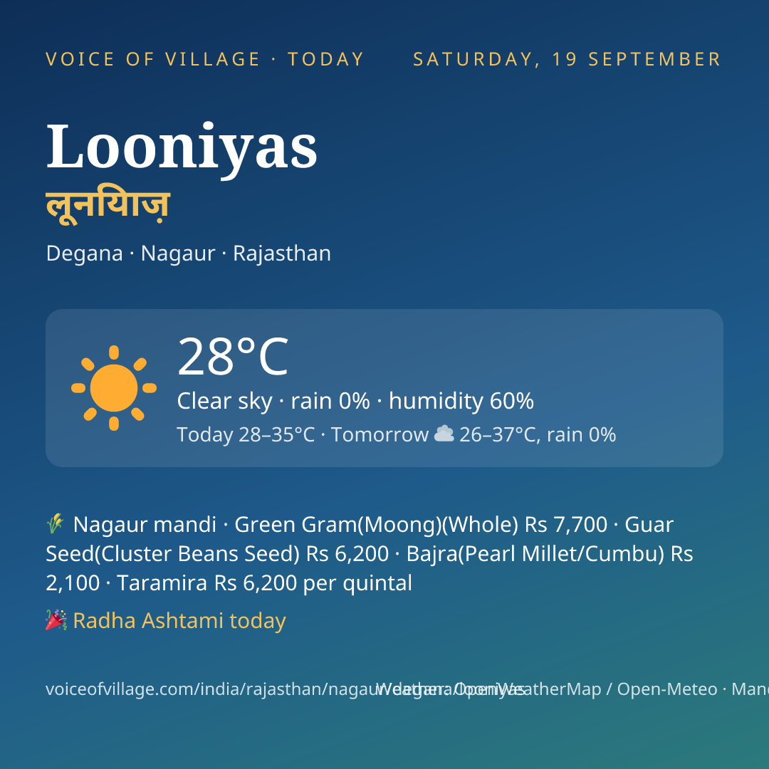 Looniyas today