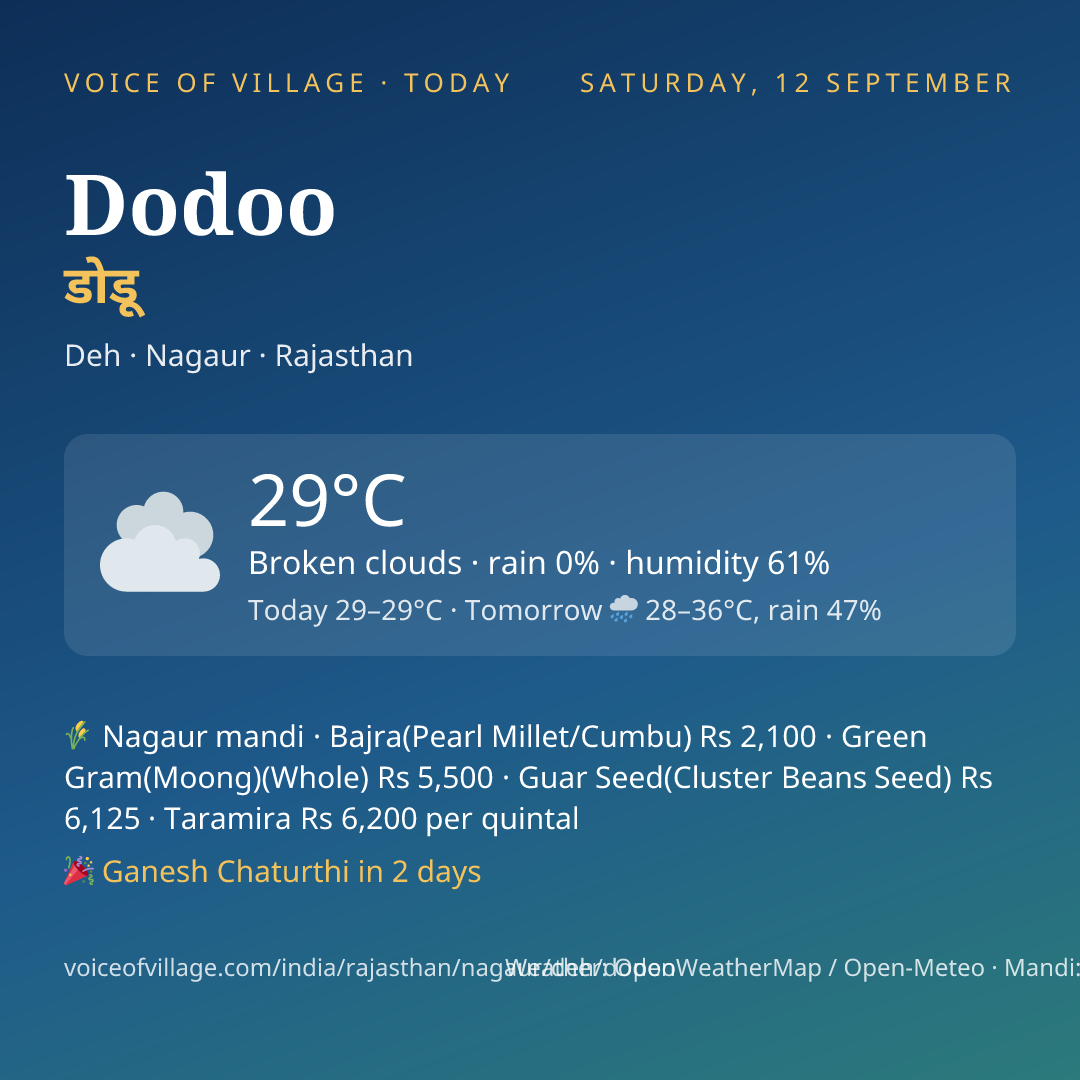 Dodoo today