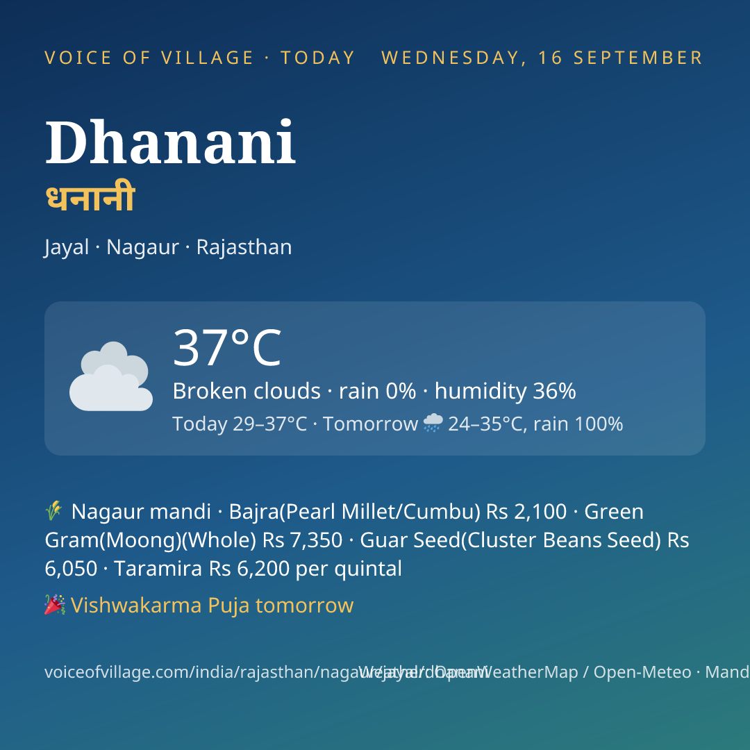 Dhanani today
