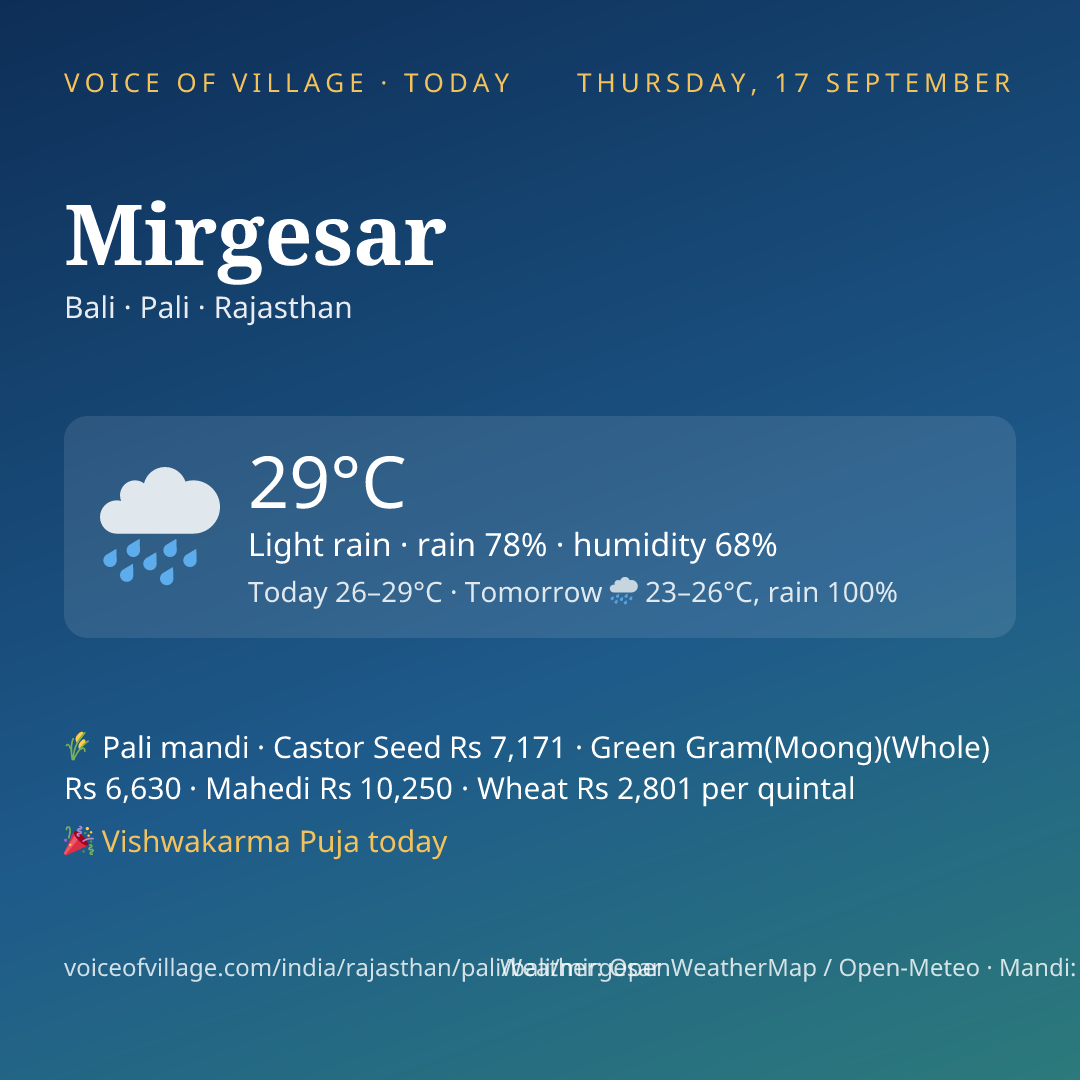 Mirgesar today