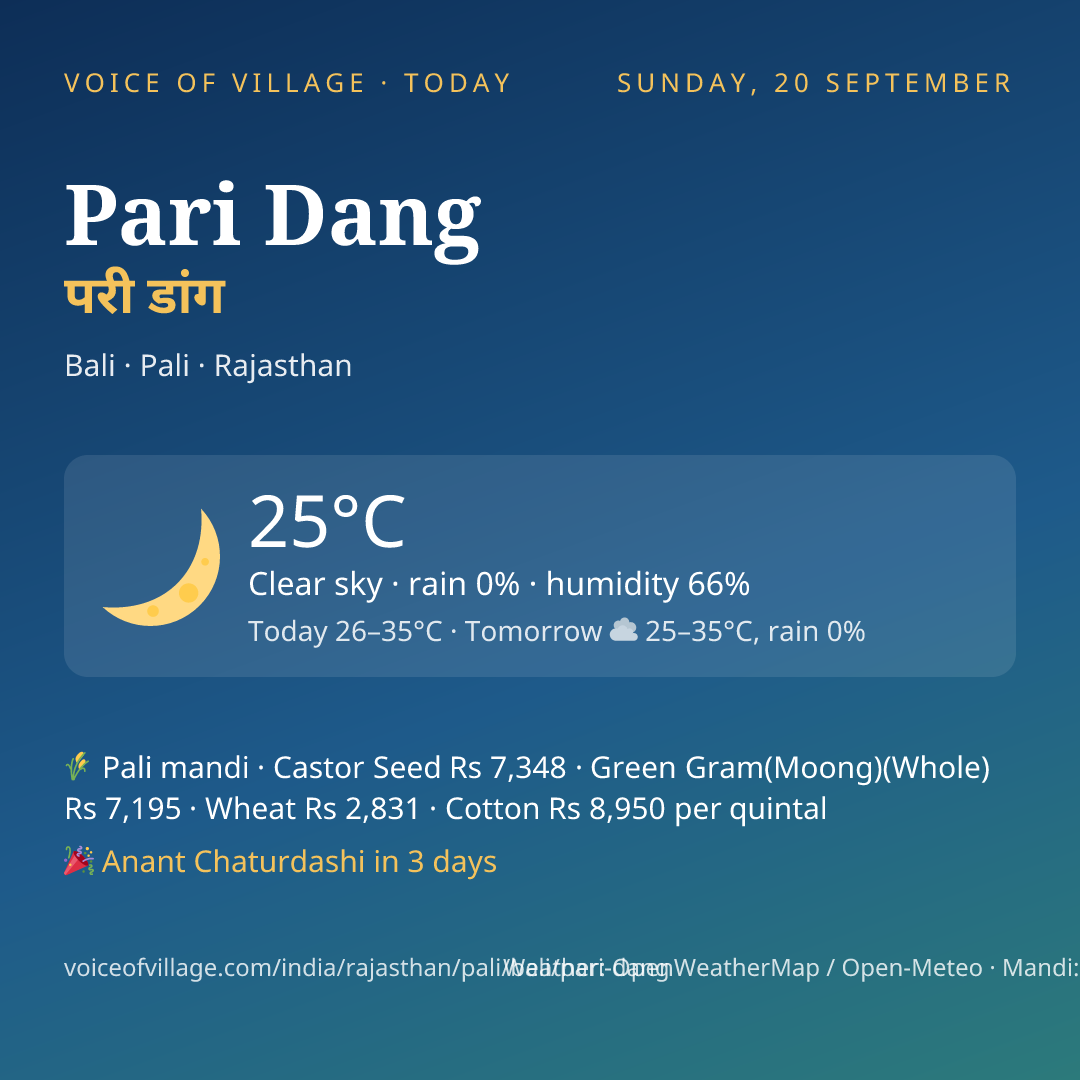 Pari Dang today