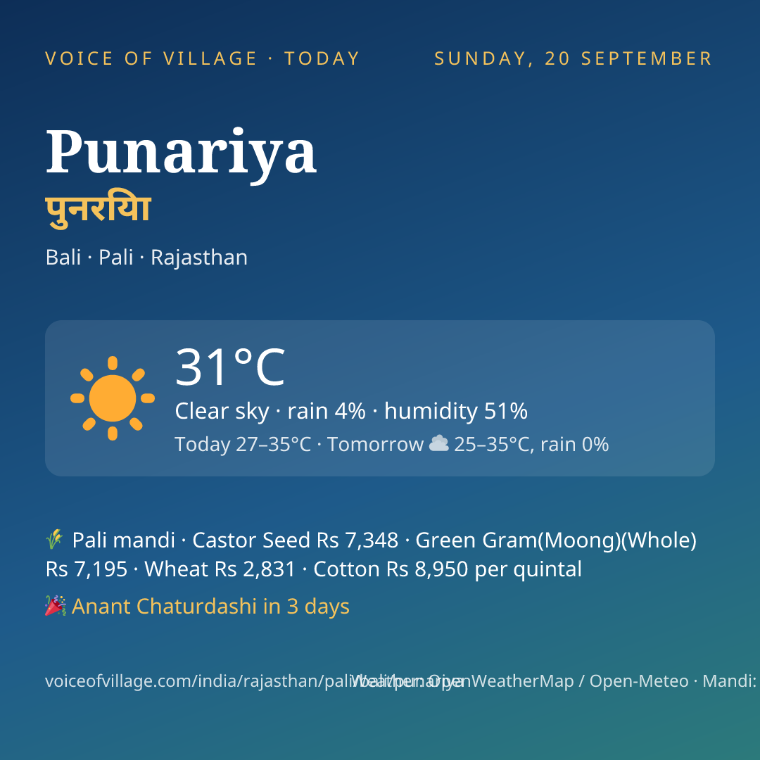 Punariya today