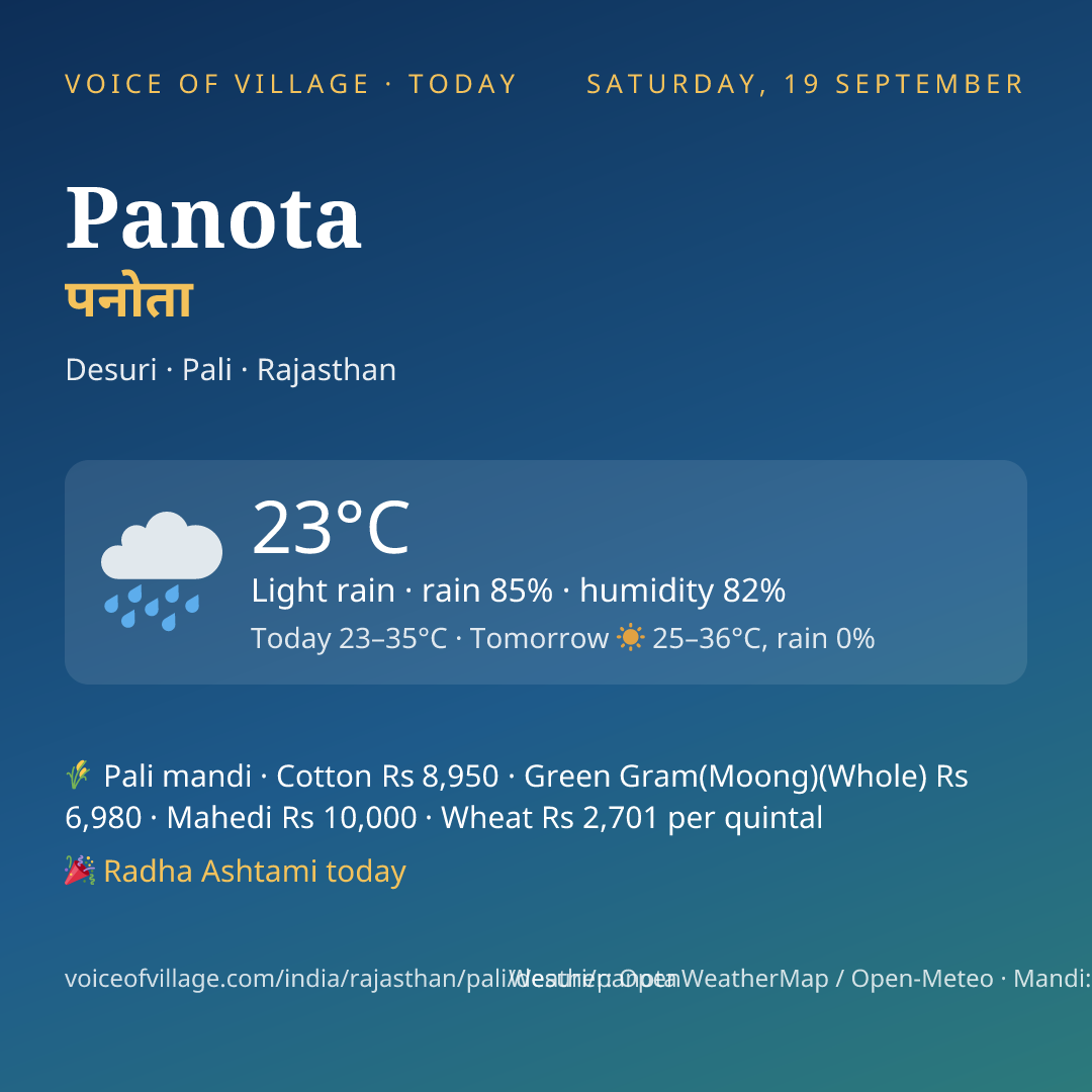 Panota today