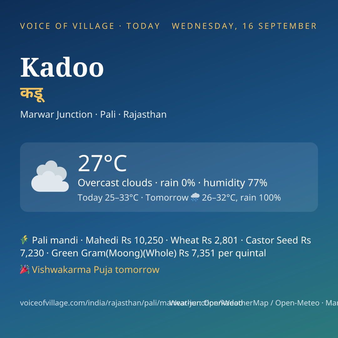 Kadoo today