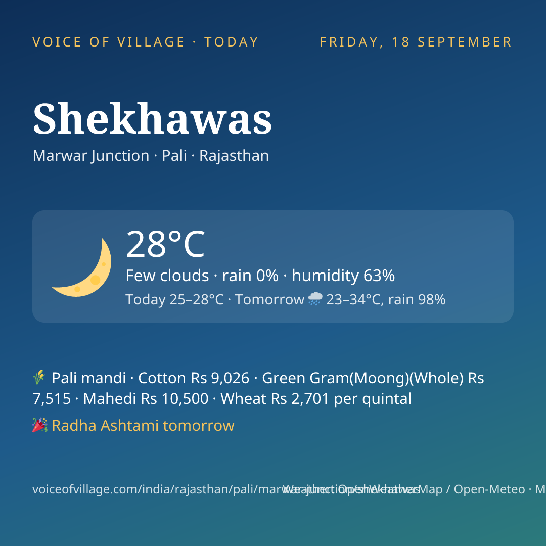 Shekhawas today