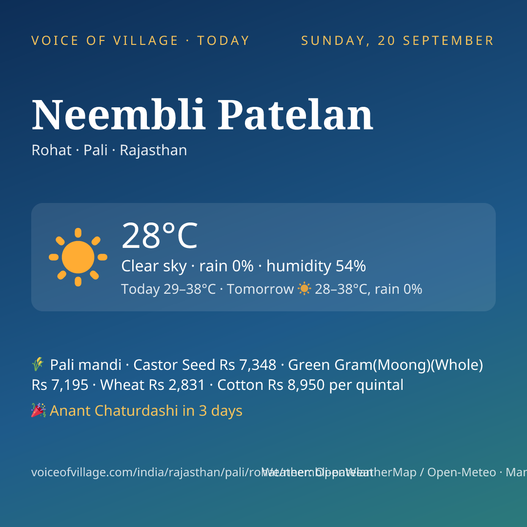 Neembli Patelan today