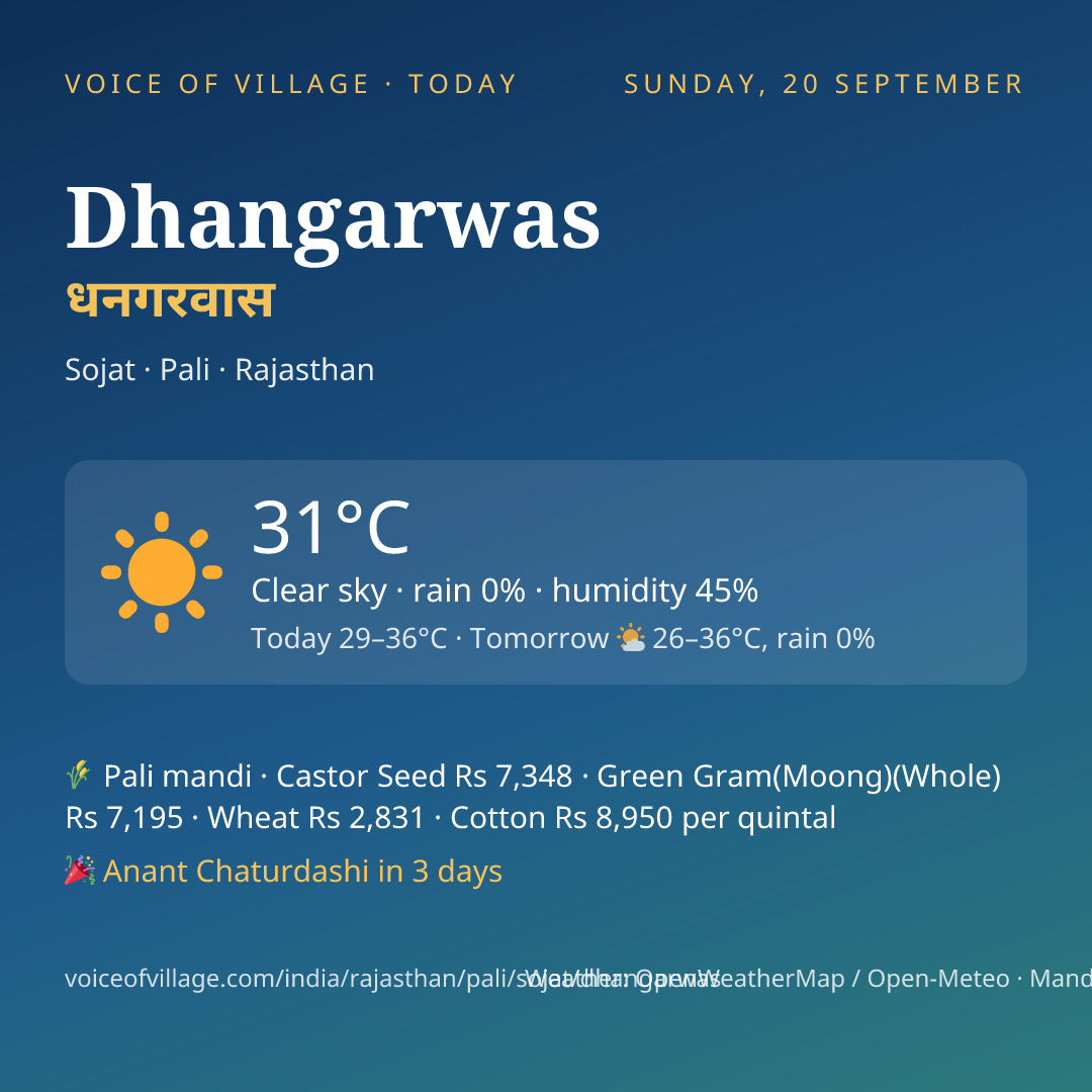 Dhangarwas today