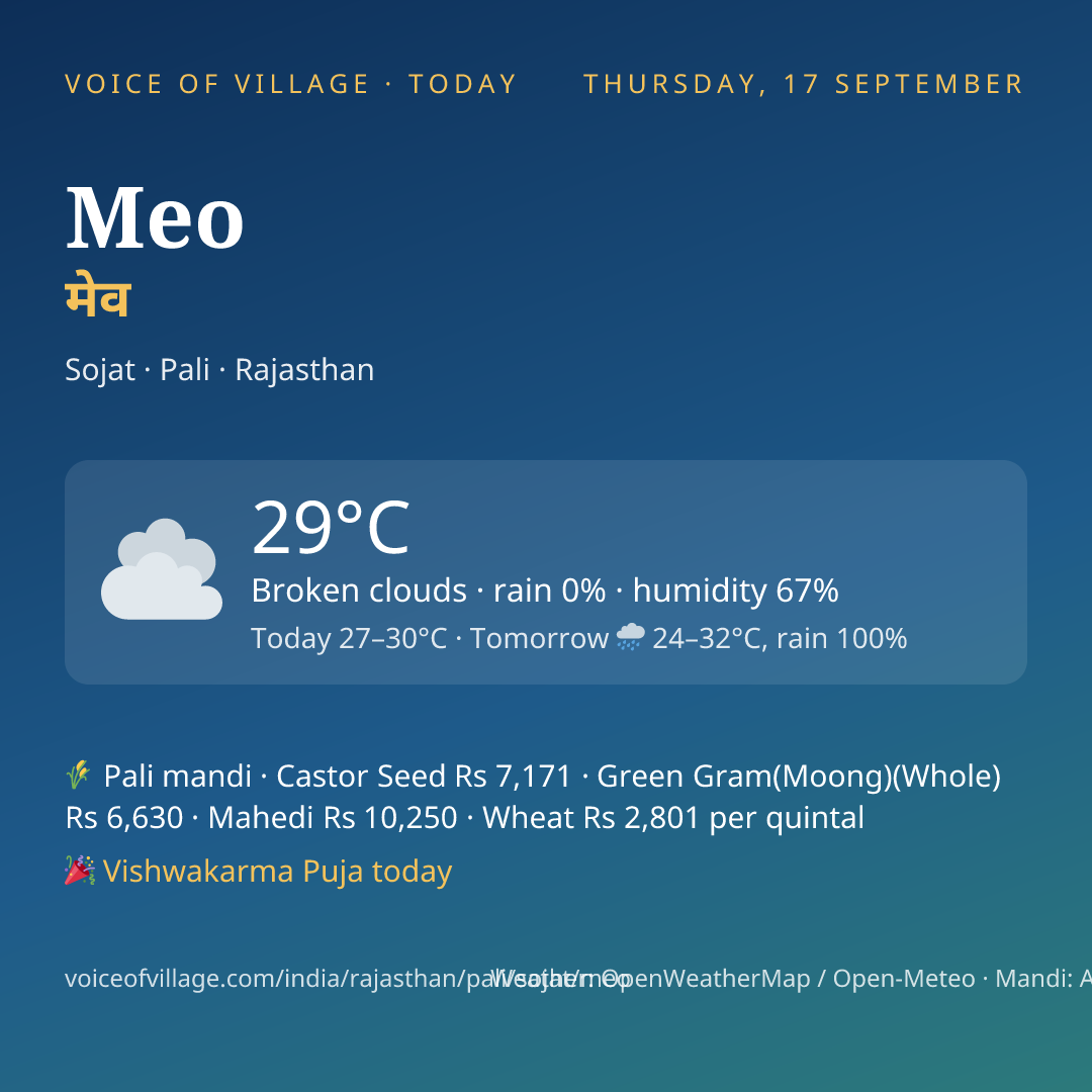 Meo today