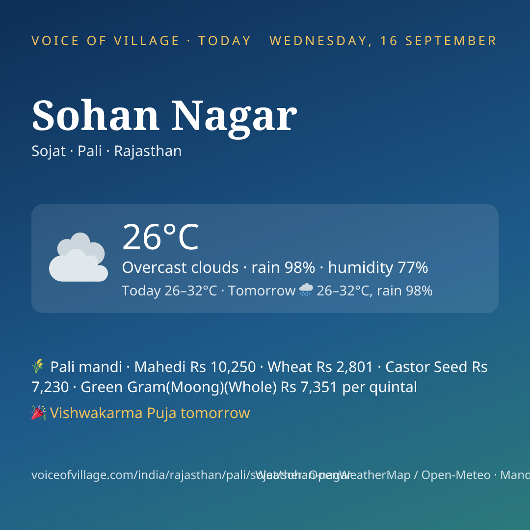 Sohan Nagar today
