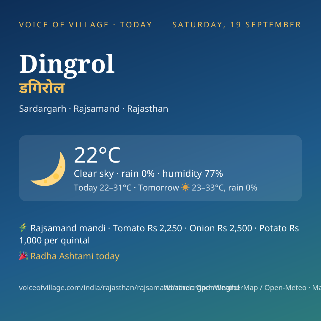 Dingrol today