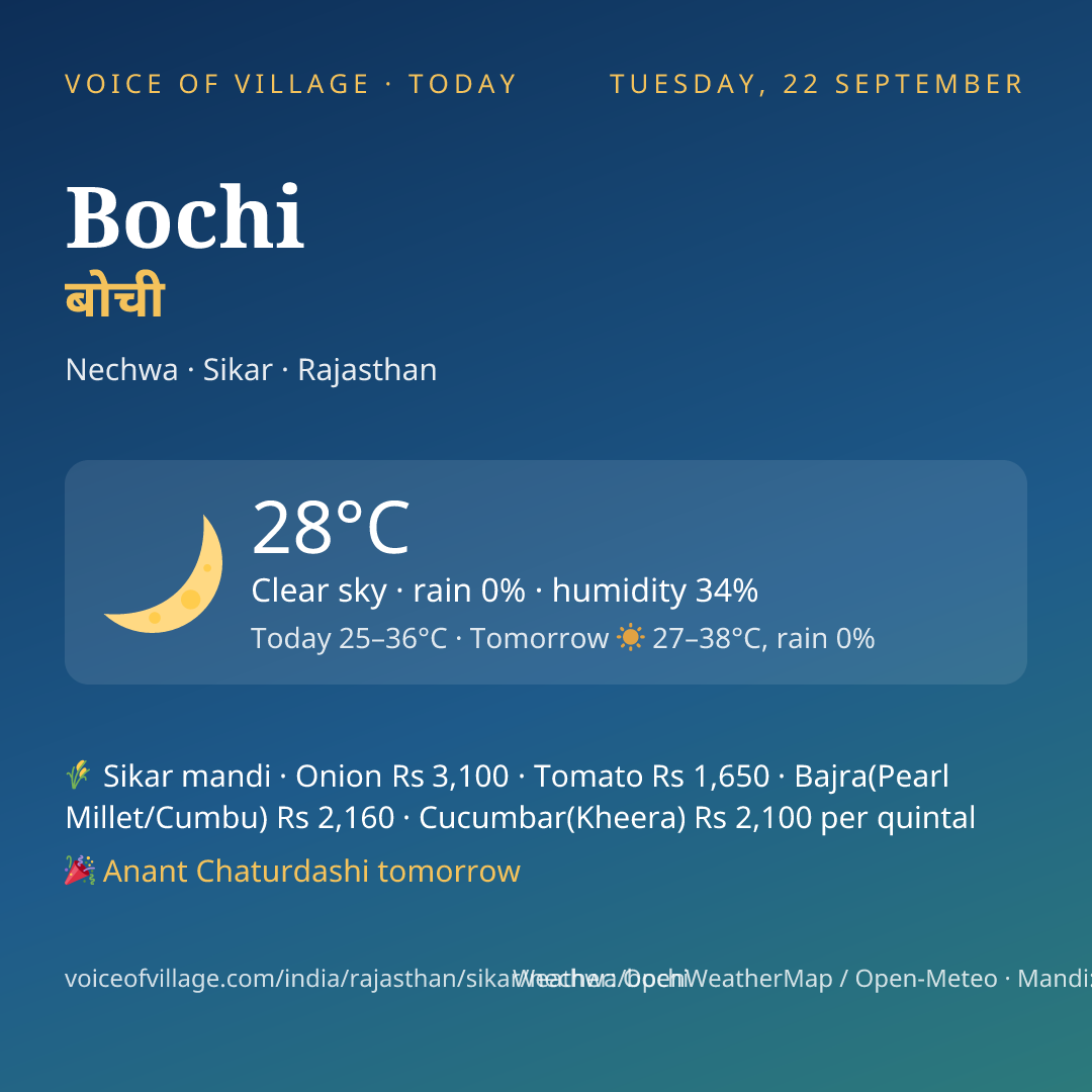 Bochi today
