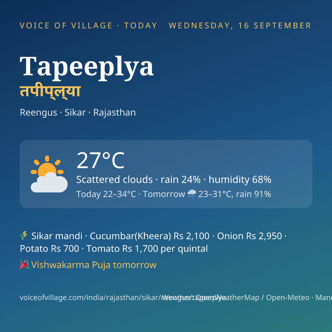 Tapeeplya today