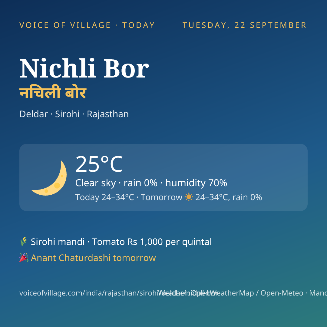 Nichli Bor today