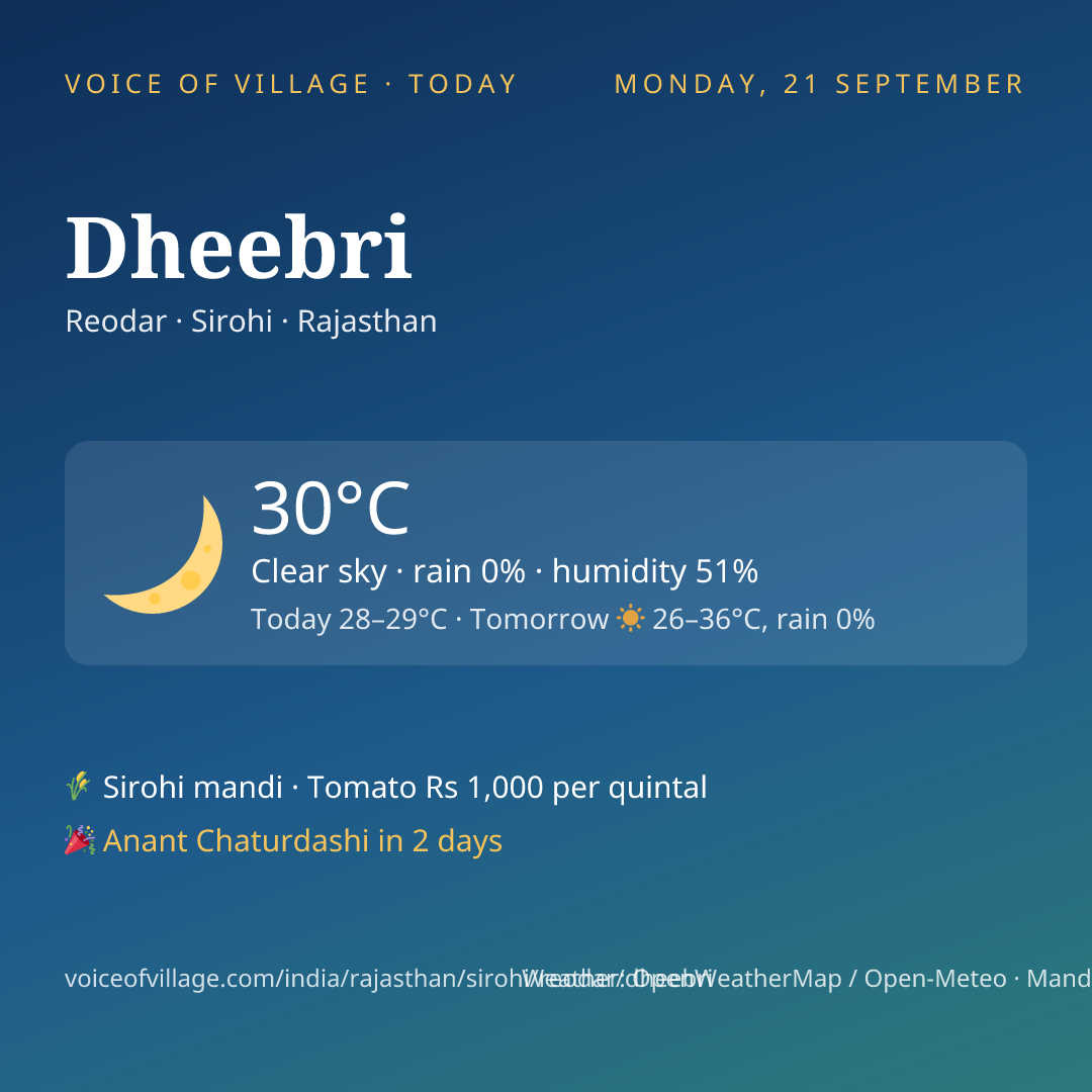 Dheebri today