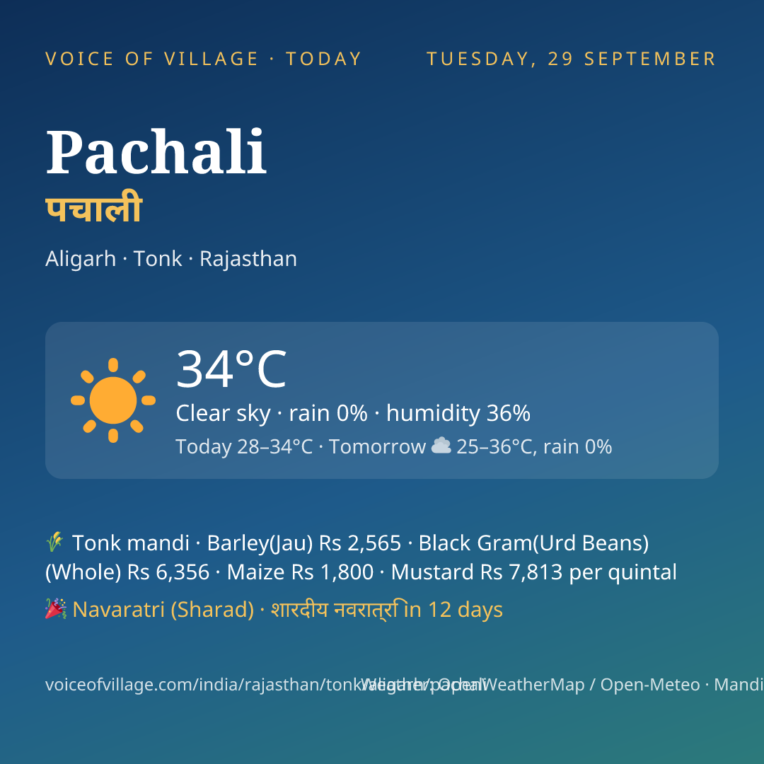 Pachali today